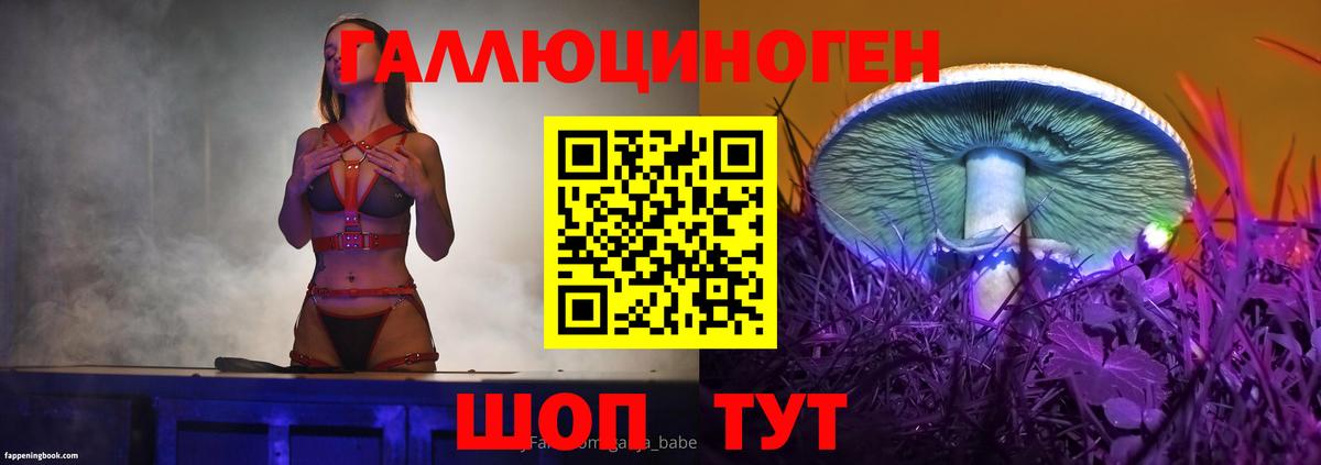 Ногинск  закладки  Вход с VPN  Галлюциногенные грибы Cubensis 